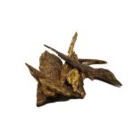 Sumatran Sinking Agarwood