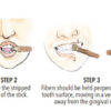 Miswak Natural Toothbrush
