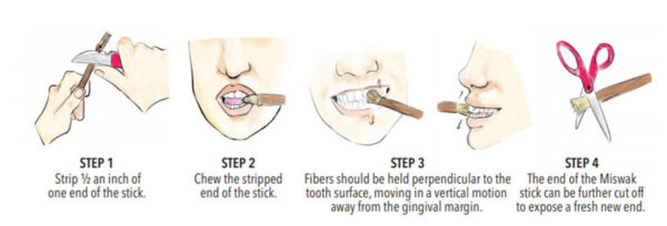 Miswak Natural Toothbrush