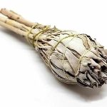 White Sage Bulb