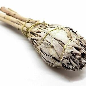 White Sage Bulb